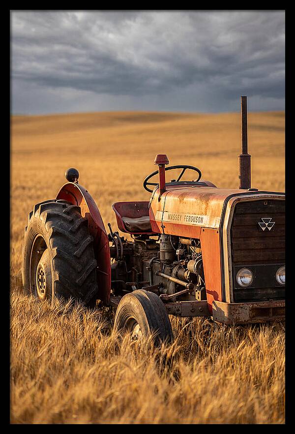 Farm Tractor In Golden Wheat