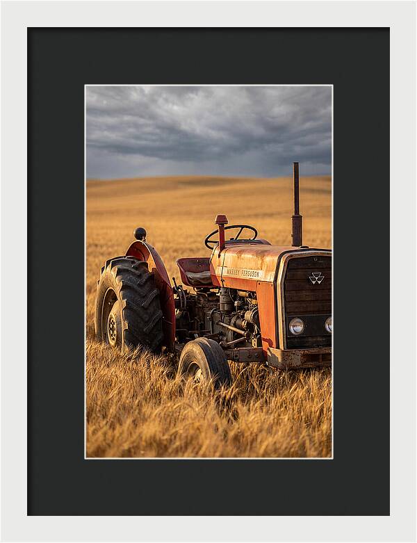 Farm Tractor In Golden Wheat