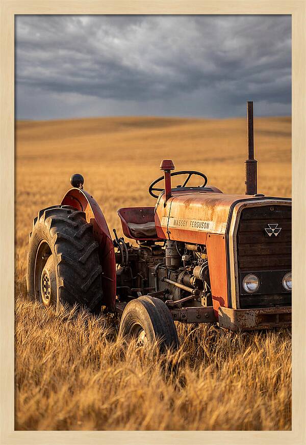 Farm Tractor In Golden Wheat
