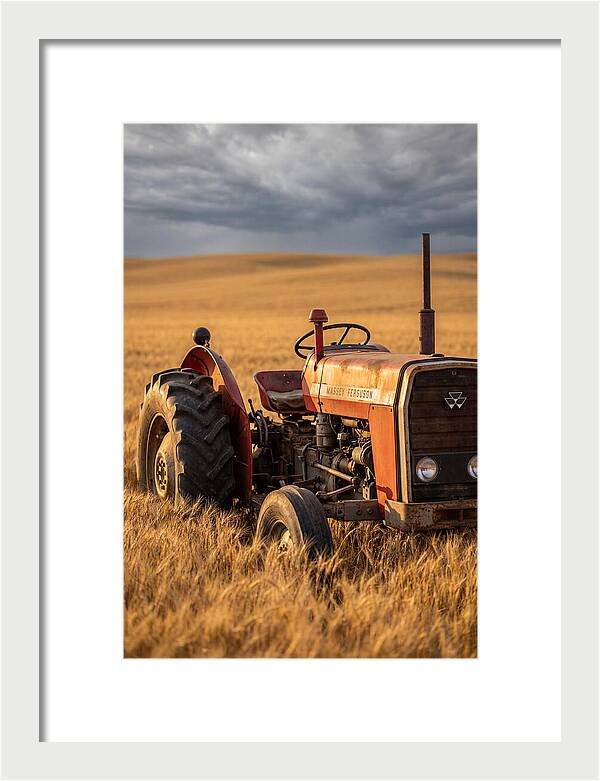 Farm Tractor In Golden Wheat