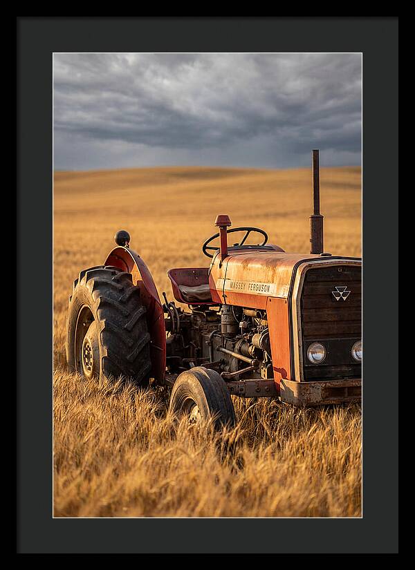 Farm Tractor In Golden Wheat