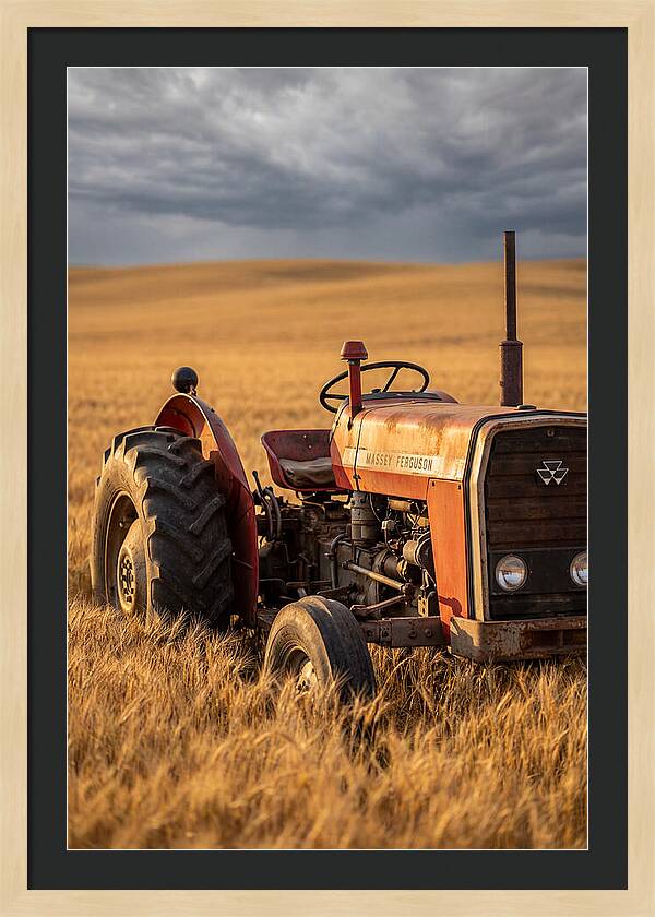 Farm Tractor In Golden Wheat