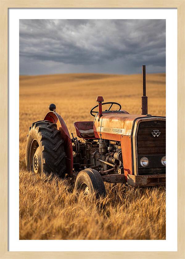 Farm Tractor In Golden Wheat