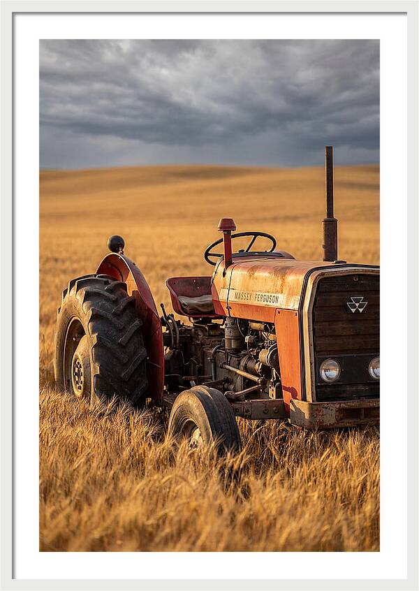 Farm Tractor In Golden Wheat
