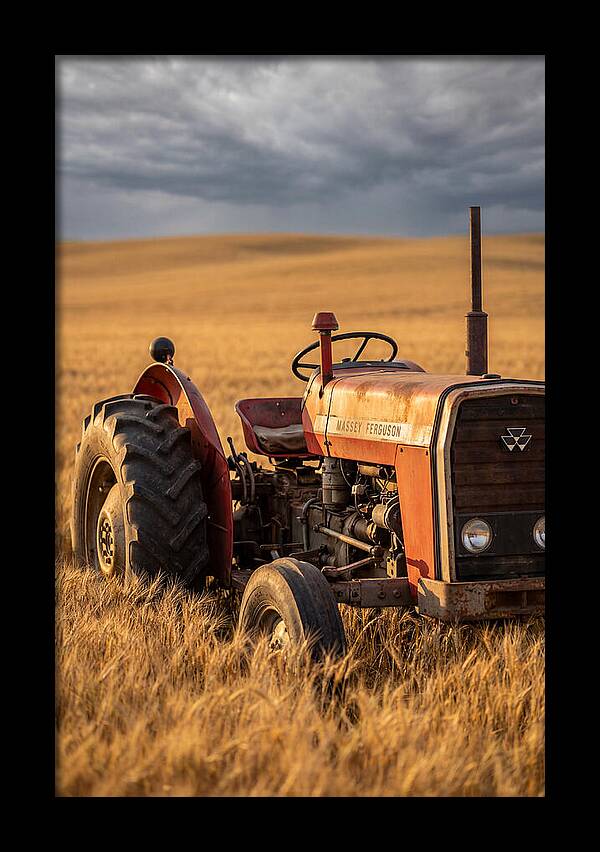 Farm Tractor In Golden Wheat