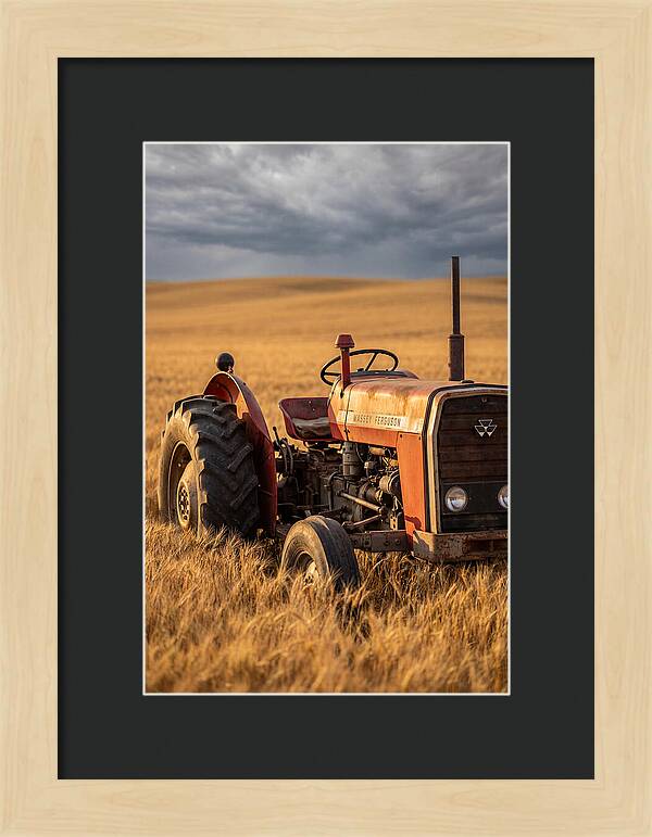 Farm Tractor In Golden Wheat