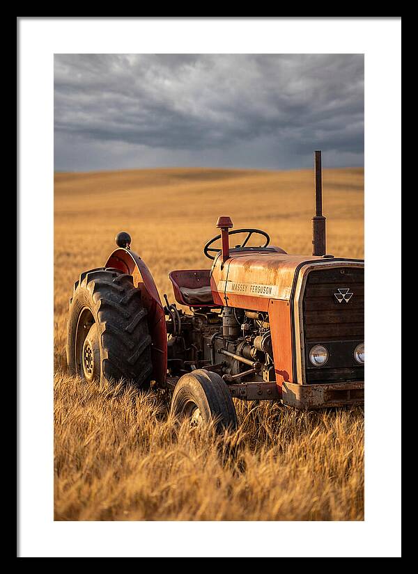 Farm Tractor In Golden Wheat