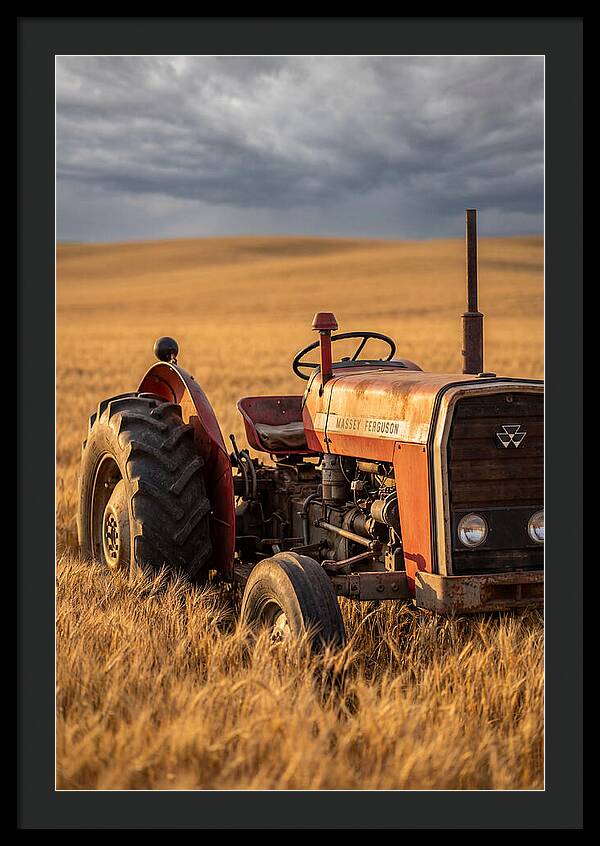 Farm Tractor In Golden Wheat
