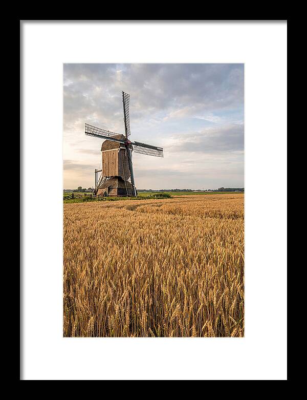 Farm Windmill Among Golden Fields