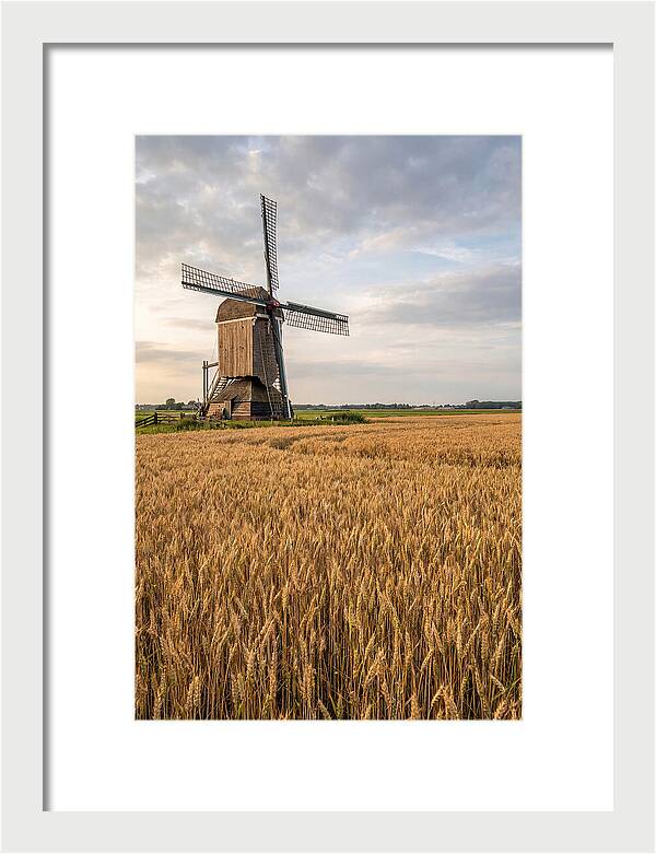 Farm Windmill Among Golden Fields