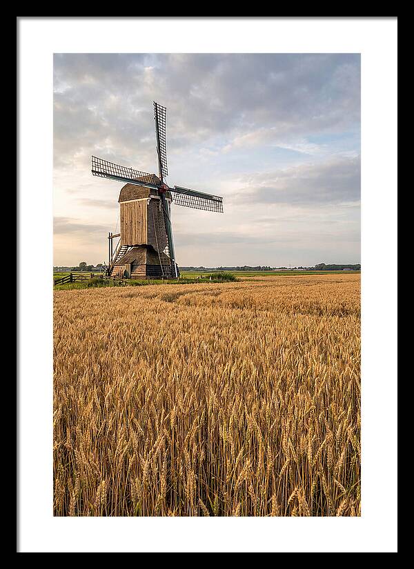 Farm Windmill Among Golden Fields