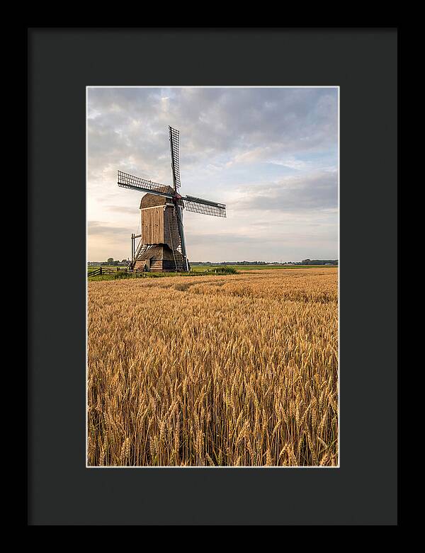 Farm Windmill Among Golden Fields