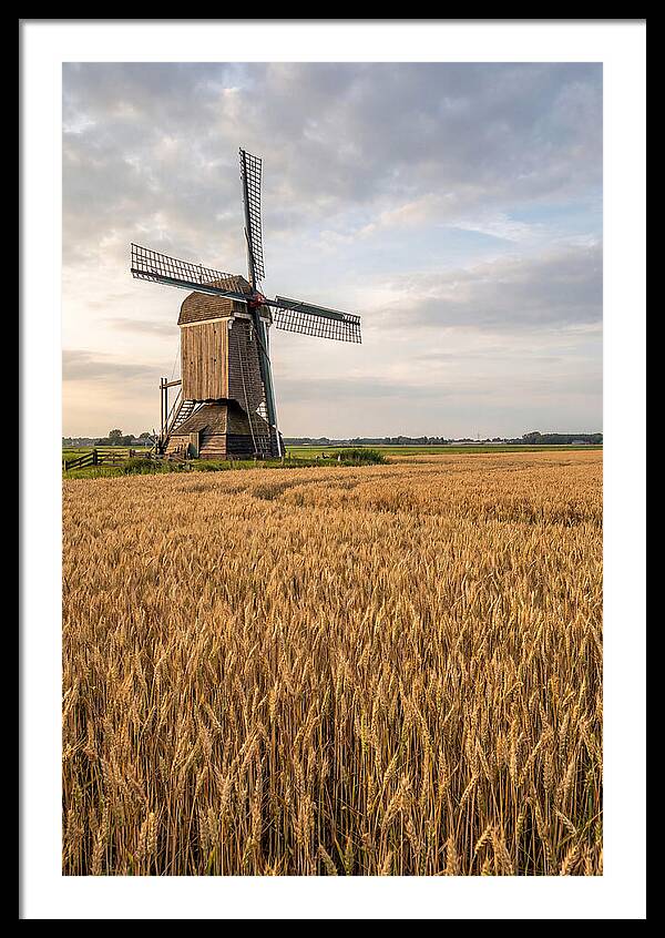 Farm Windmill Among Golden Fields