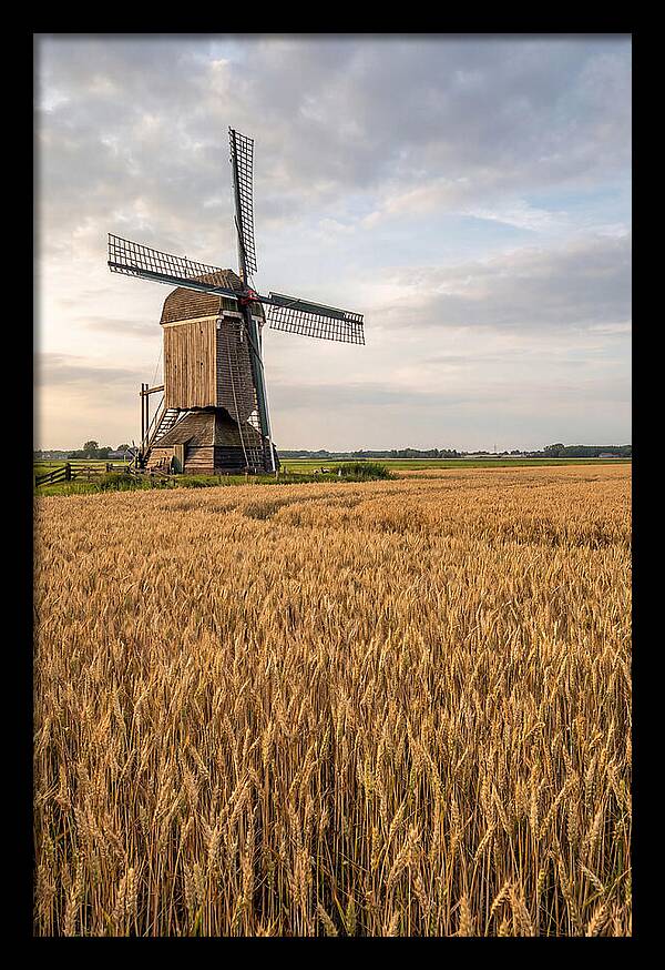 Farm Windmill Among Golden Fields