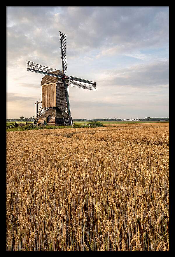 Farm Windmill Among Golden Fields