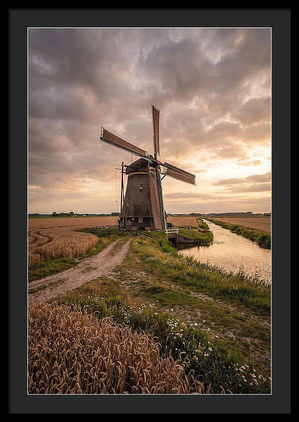 Farm Windmill At Dusk