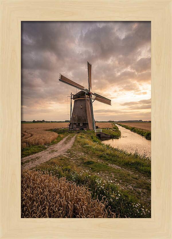 Farm Windmill At Dusk