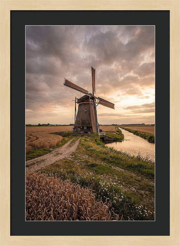 Farm Windmill At Dusk