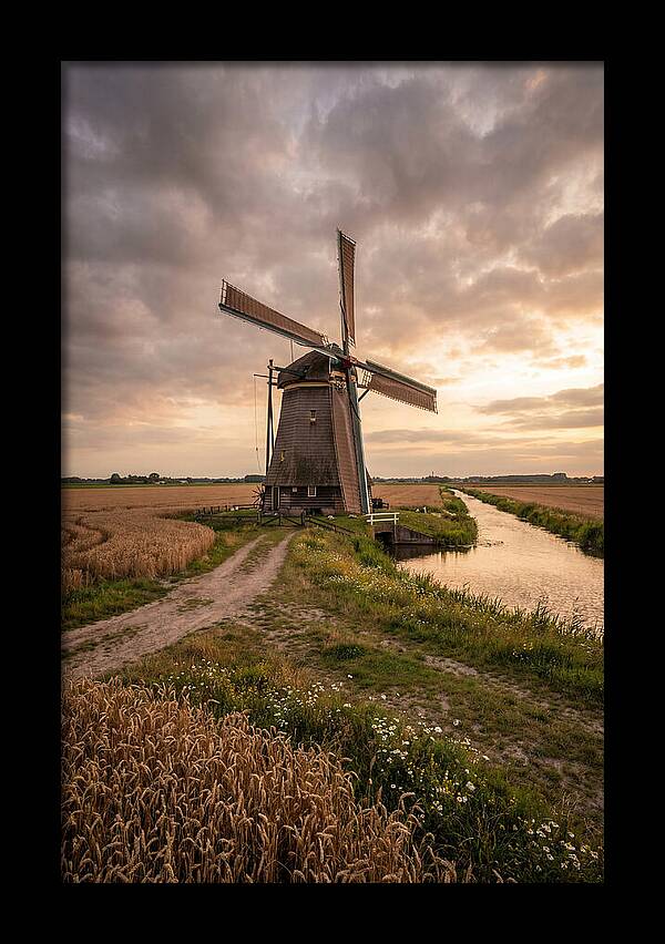 Farm Windmill At Dusk