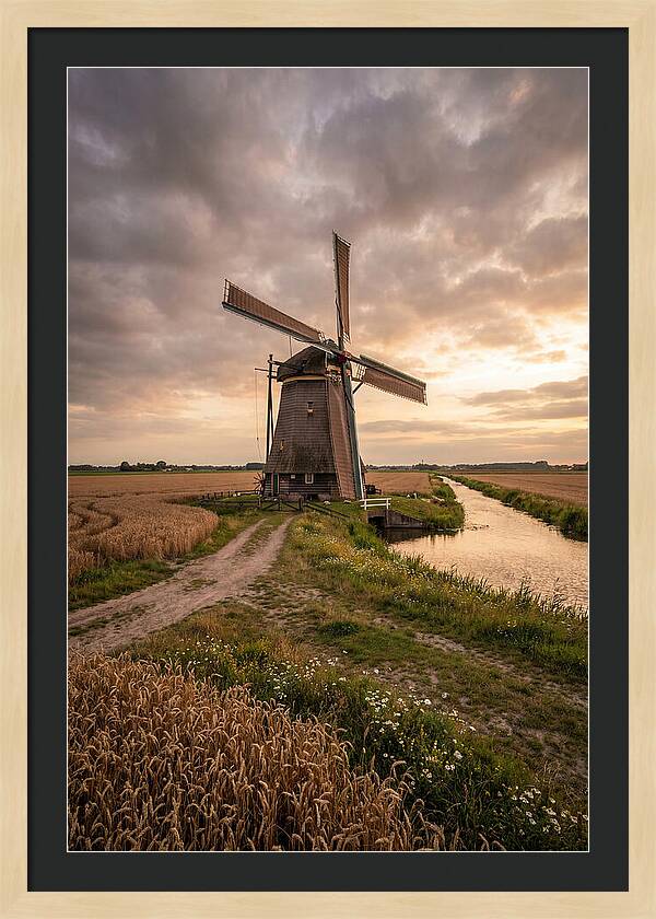 Farm Windmill At Dusk