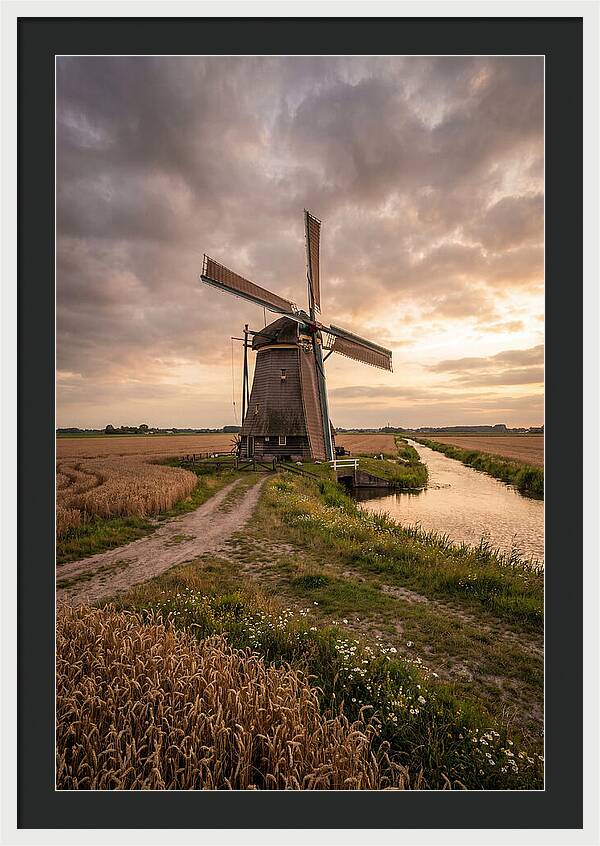 Farm Windmill At Dusk