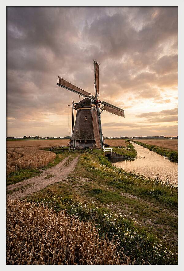Farm Windmill At Dusk