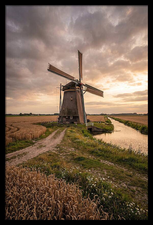 Farm Windmill At Dusk