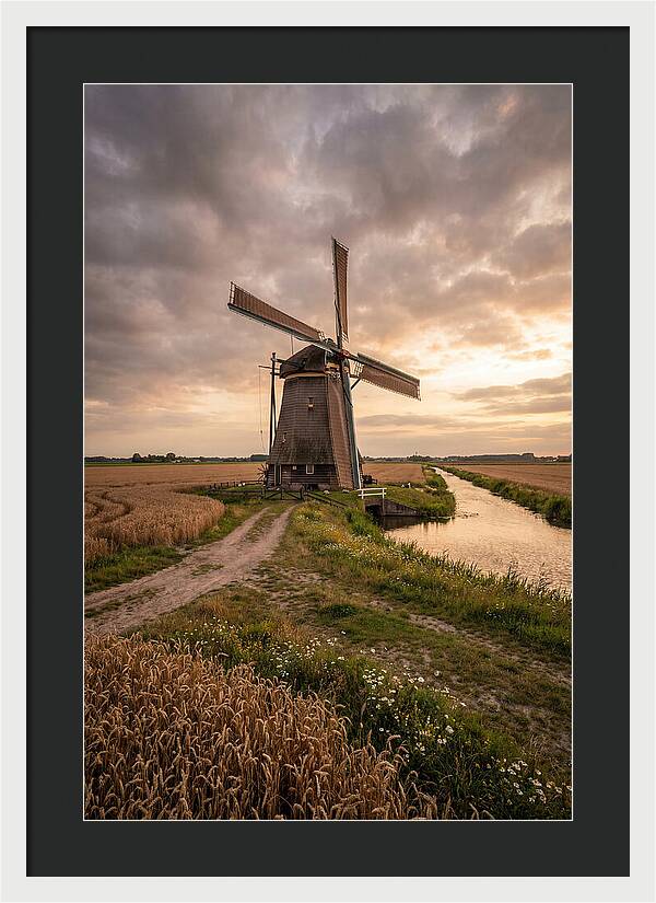 Farm Windmill At Dusk