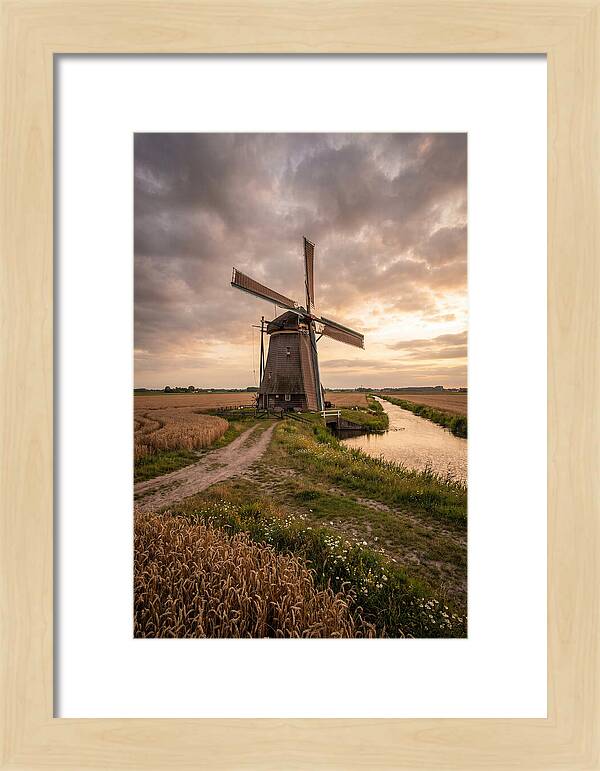 Farm Windmill At Dusk