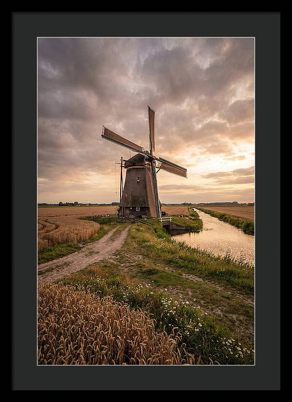 Farm Windmill At Dusk