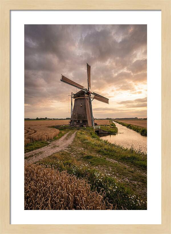 Farm Windmill At Dusk