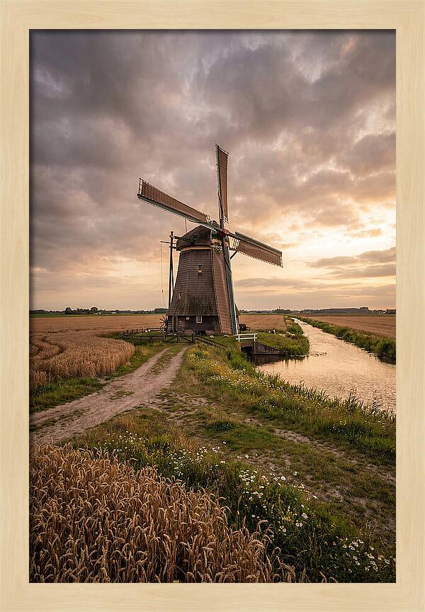 Farm Windmill At Dusk