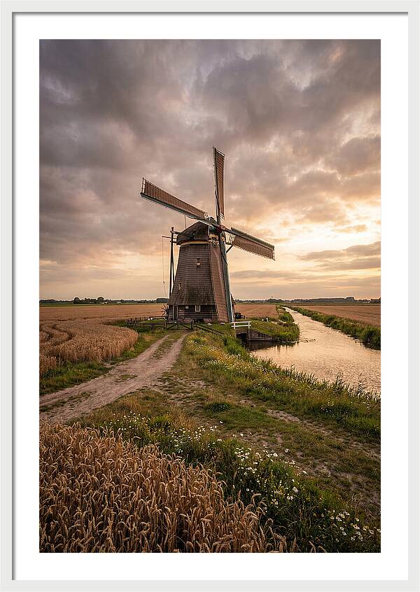 Farm Windmill At Dusk