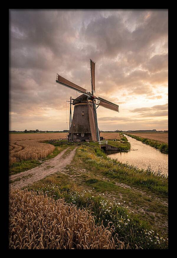 Farm Windmill At Dusk