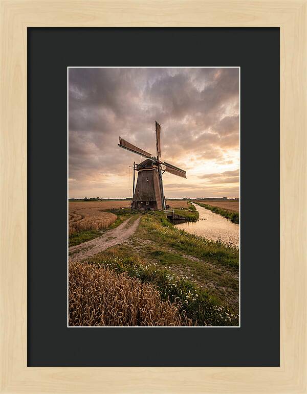Farm Windmill At Dusk