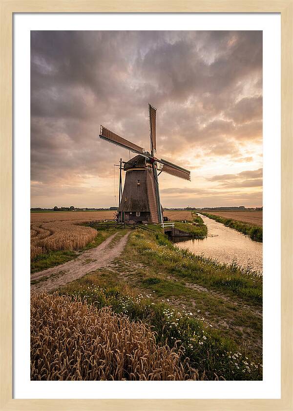 Farm Windmill At Dusk