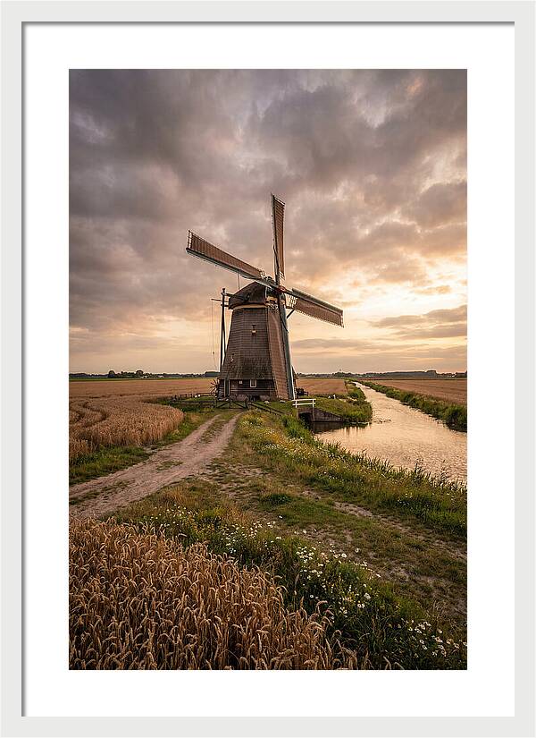 Farm Windmill At Dusk