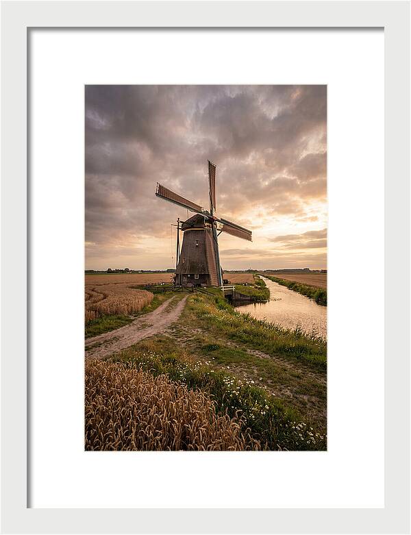 Farm Windmill At Dusk