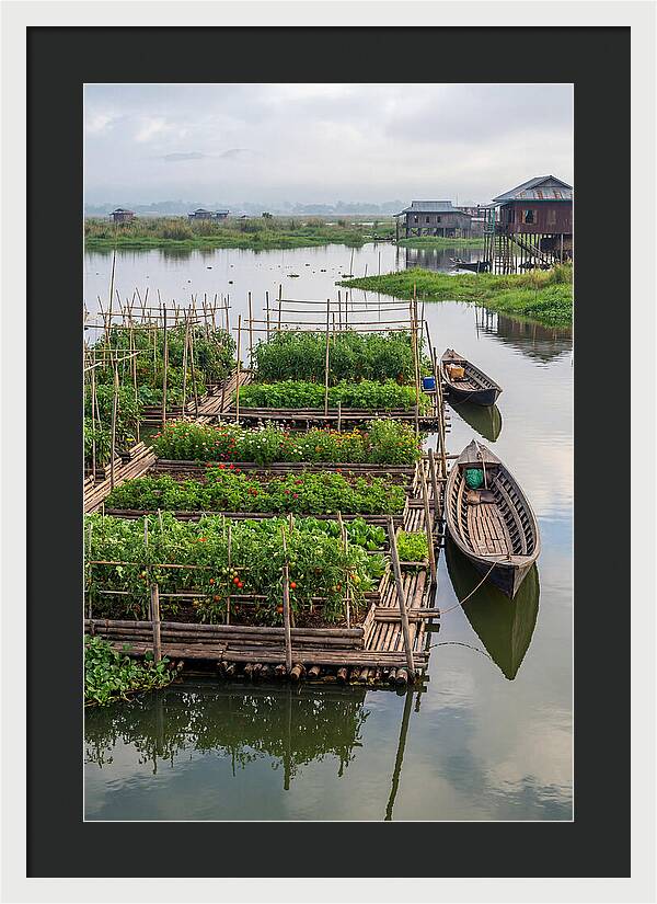 Farmers Floating On Water