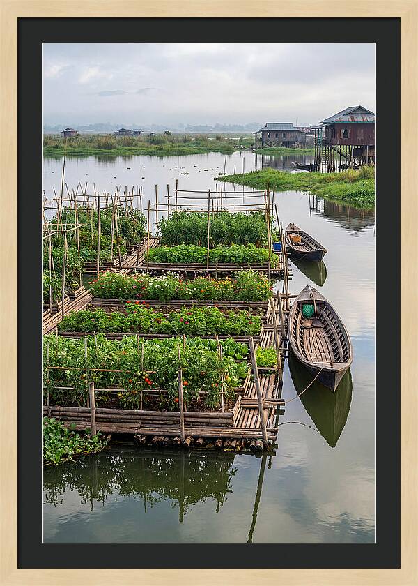 Farmers Floating On Water