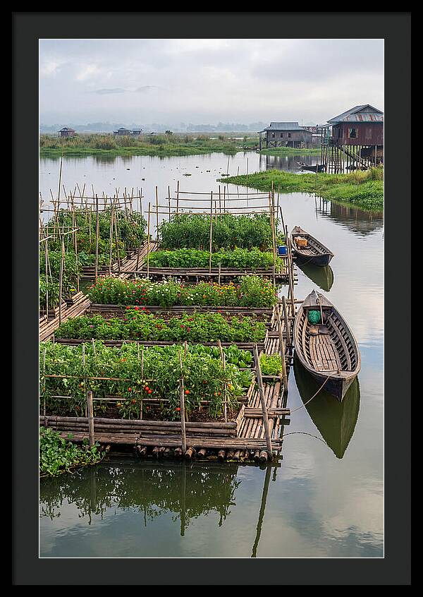 Farmers Floating On Water