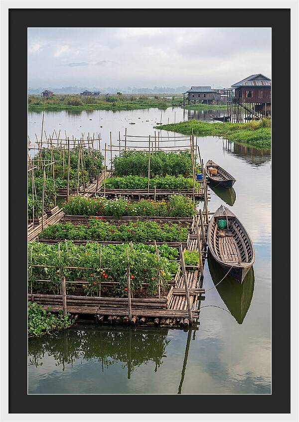 Farmers Floating On Water