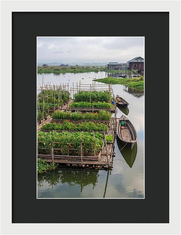 Farmers Floating On Water