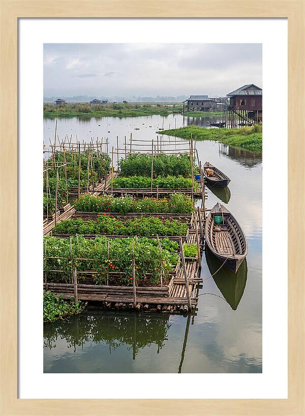 Farmers Floating On Water