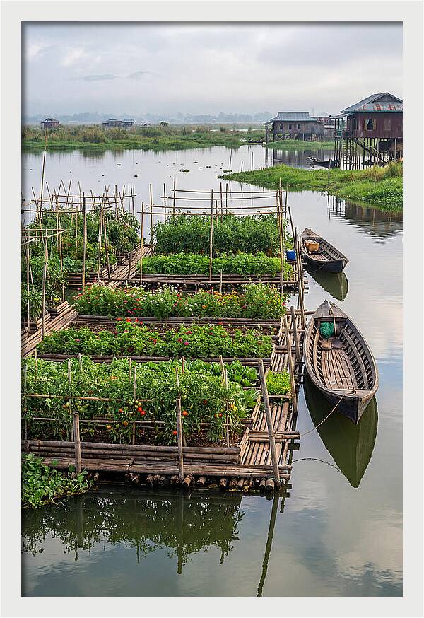 Farmers Floating On Water
