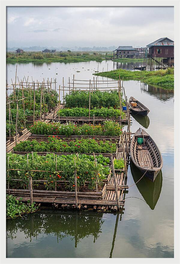 Farmers Floating On Water