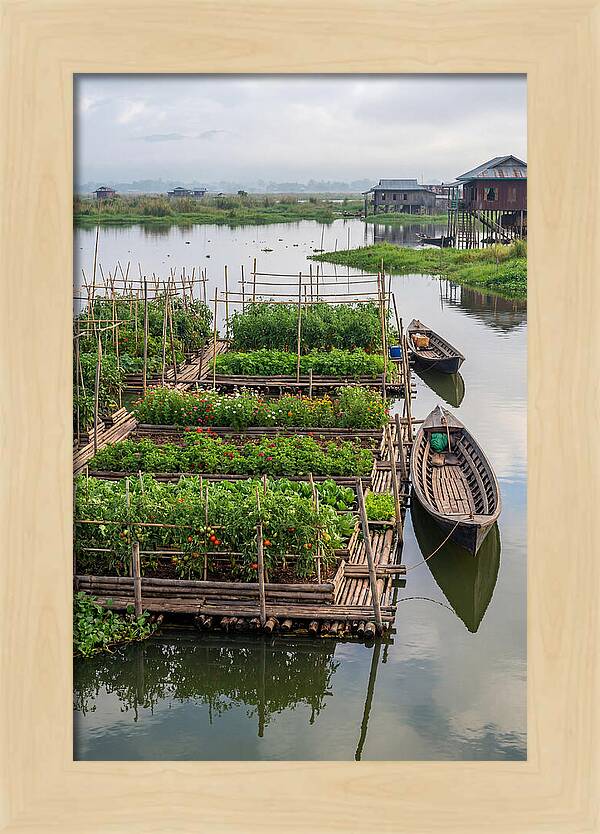 Farmers Floating On Water