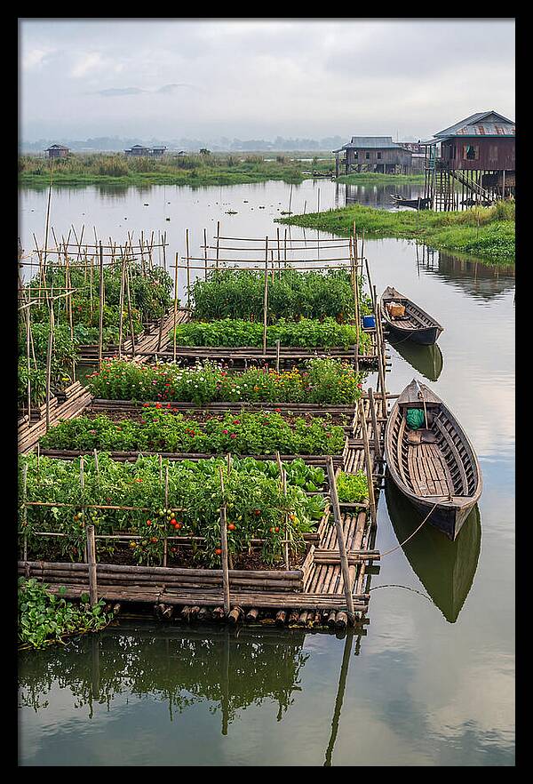 Farmers Floating On Water
