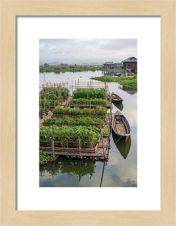 Farmers Floating On Water