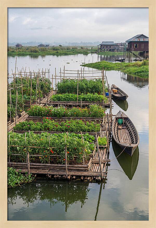Farmers Floating On Water